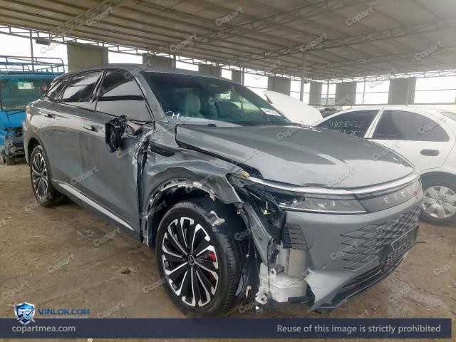 2024 EXEE RX – Lot 49191316 auction photo