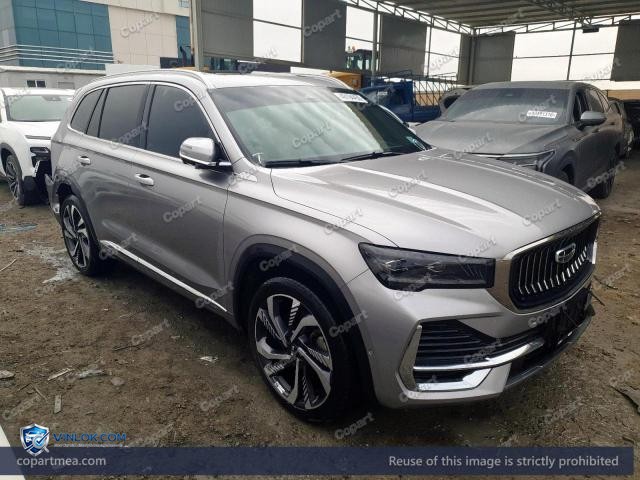 2024 GEEL MONJARO – Lot 49194456 auction photo