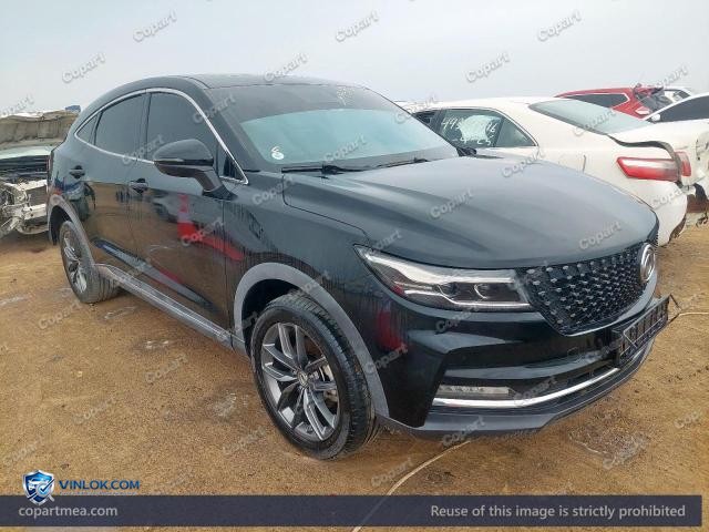 2023 DFSK FENGON – Lot 49195336 auction photo