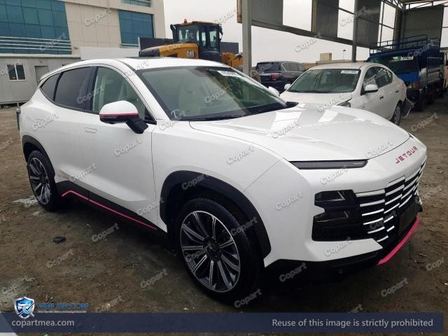2025 JETO DASHING – Lot 49343896 auction photo