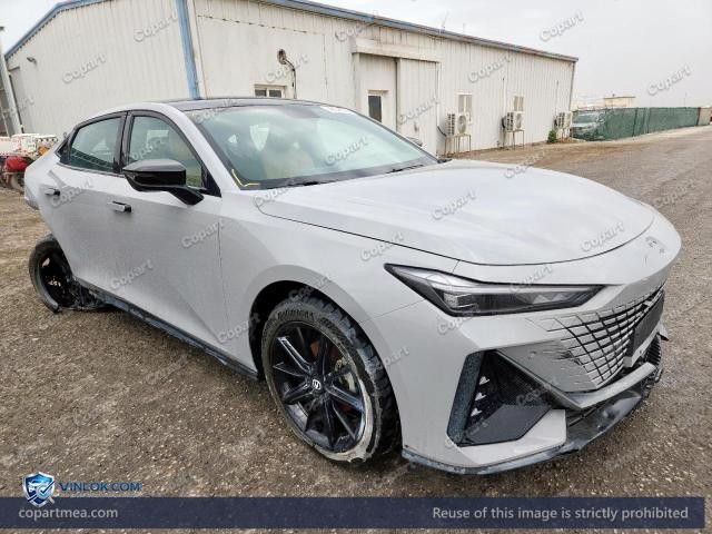 2025 CHAN UNI-V – Lot 49348796 auction photo