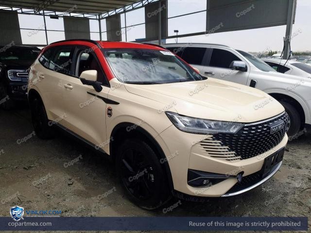2025 HAVA H6 – Lot 49674346 auction photo
