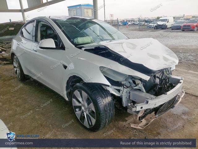 2024 TESLA MODEL Y – Lot 50008116 auction photo