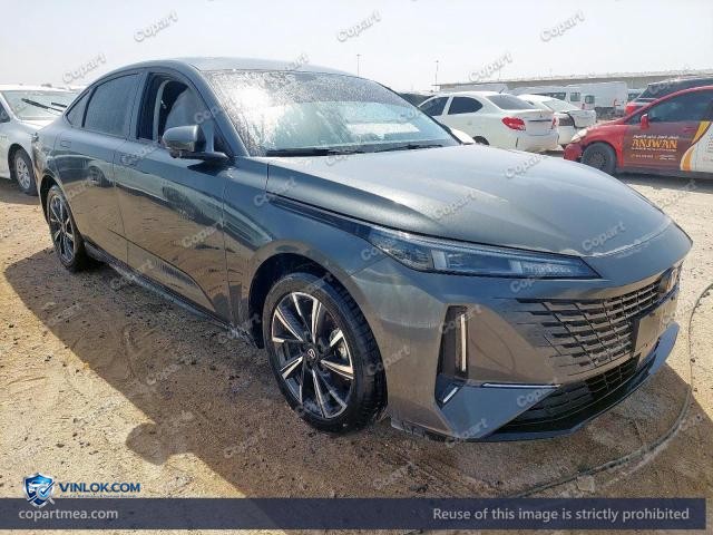 2025 CHAN EADO – Lot 50015656 auction photo