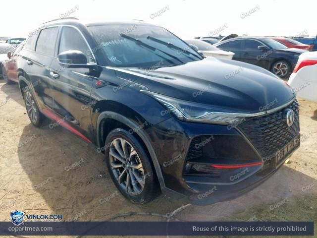 2023 CHAN CS75 – Lot 50016106 auction photo
