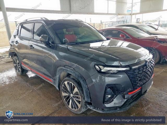 2023 CHAN CS35 PLUS – Lot 50024136 auction photo