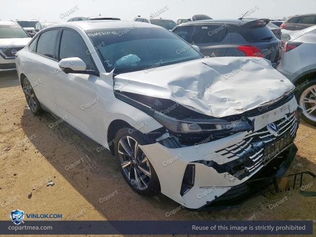 2025 CHAN EADO PLUS – Lot 50042446 auction photo