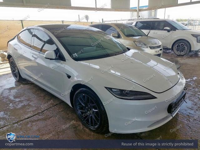 2025 TESL MODEL – Lot 50200026 auction photo