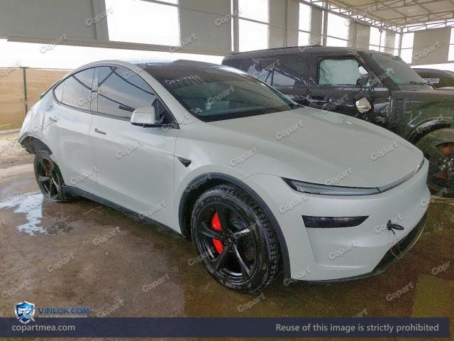 2025 TESLA MODEL Y – Lot 50217986 auction photo
