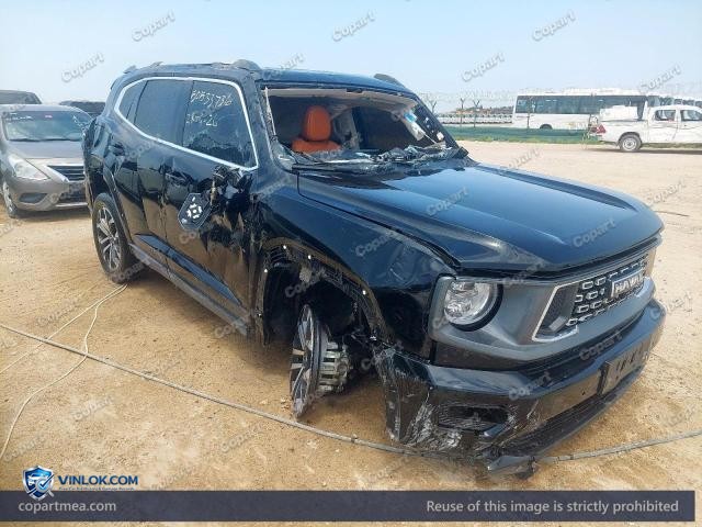2025 HAVA H7 – Lot 50533736 auction photo