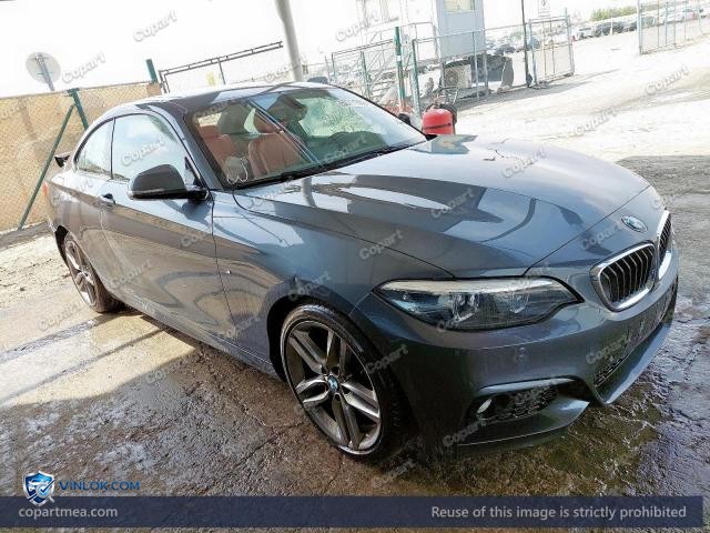 2018 BMW 220 – Lot 50711556 auction photo