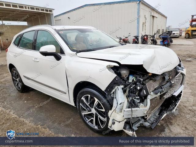 2024 HAVA JOLION – Lot 50841246 auction photo