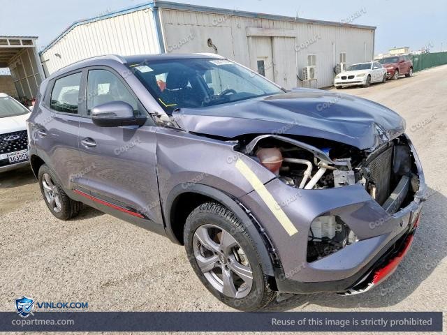 2025 CHER TIGGO – Lot 50841336 auction photo