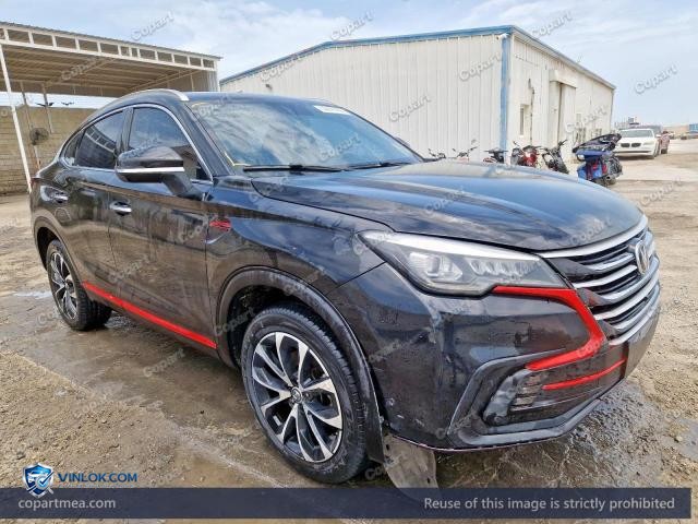 2021 CHAN CS85 – Lot 50841466 auction photo