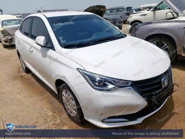 2024 CHAN ALSVIN – Lot 50861636 auction photo