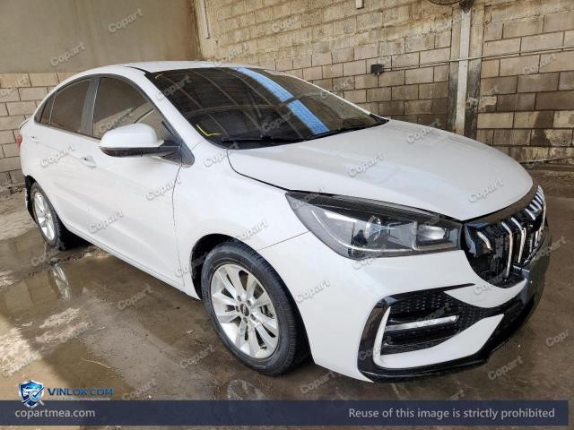 2024 CHER ARRIZO 5 – Lot 50866716 auction photo