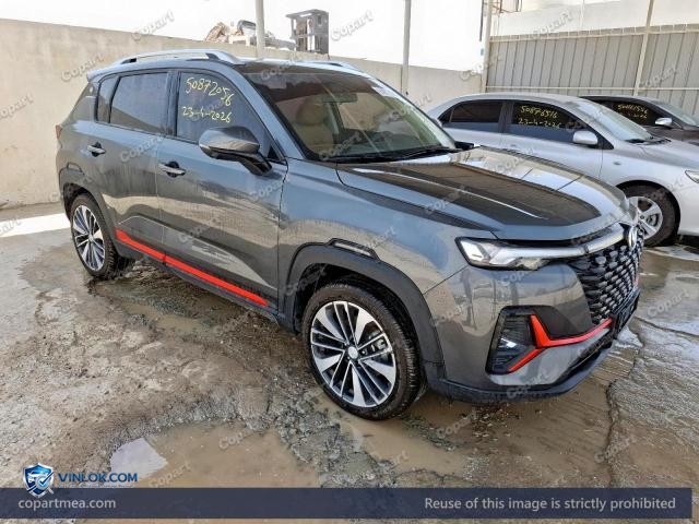 2025 CHAN CS35 – Lot 50872056 auction photo