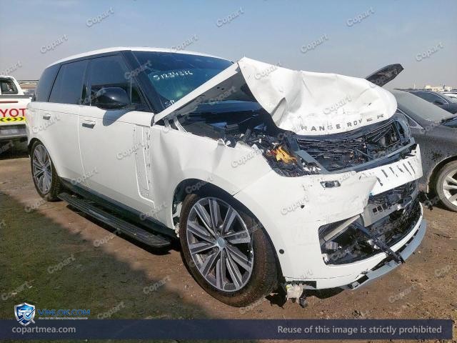 2025 RANG VOGUE – Lot 51234336 auction photo