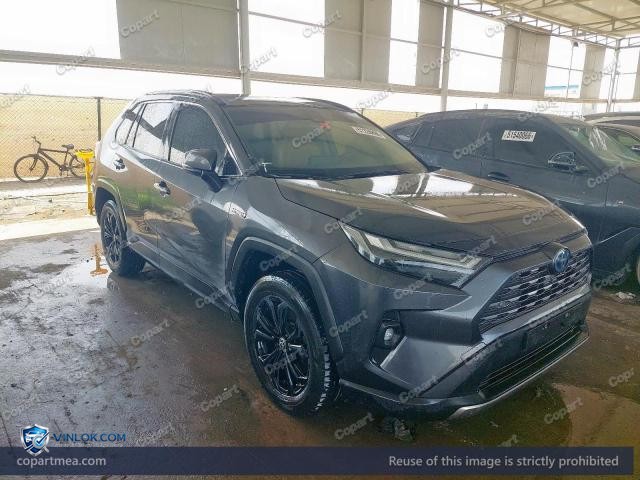 2023 TOYOTA RAV4 – Lot 51236896 auction photo