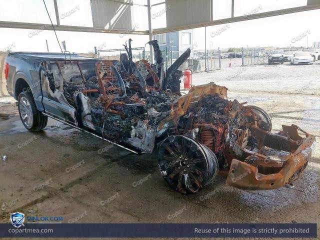 2023 FORD F150 – Lot 51383056 auction photo