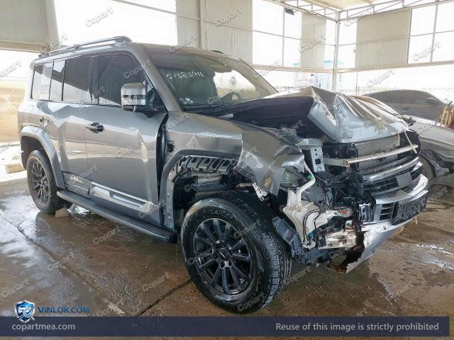 2025 BYD LEOPARD – Lot 51383916 auction photo