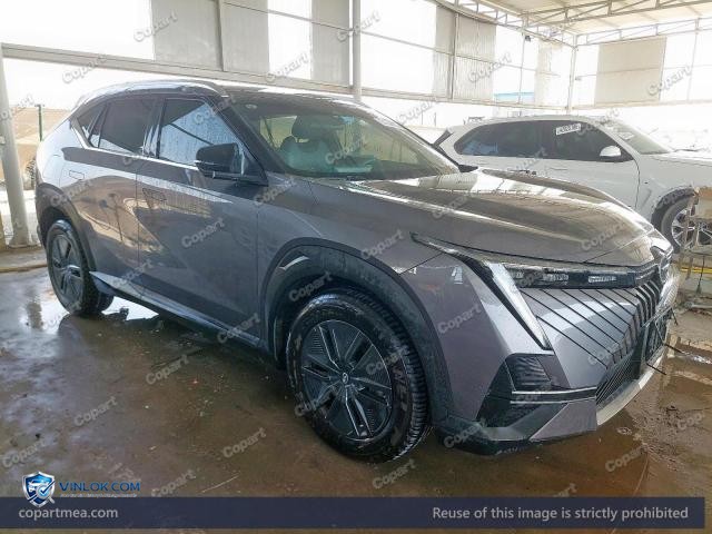 2025 GAC EMKOO – Lot 51388076 auction photo
