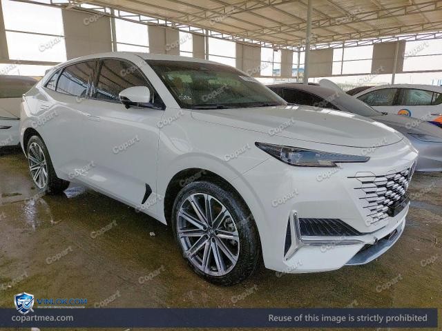 2024 CHAN UNI-K – Lot 51389896 auction photo