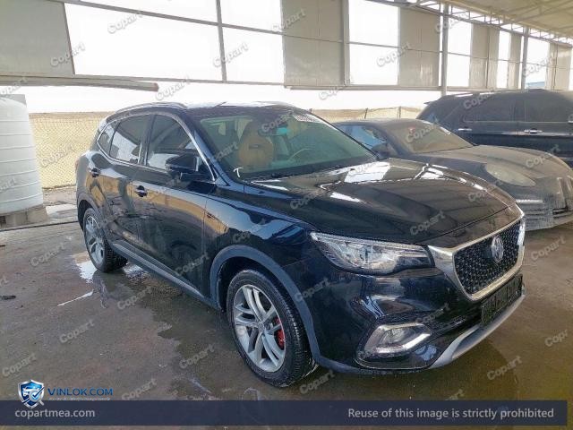 2022 MG HS – Lot 51574626 auction photo