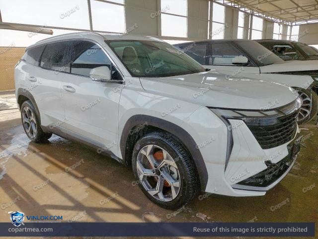 2025 GEEA STARRAY – Lot 51576956 auction photo