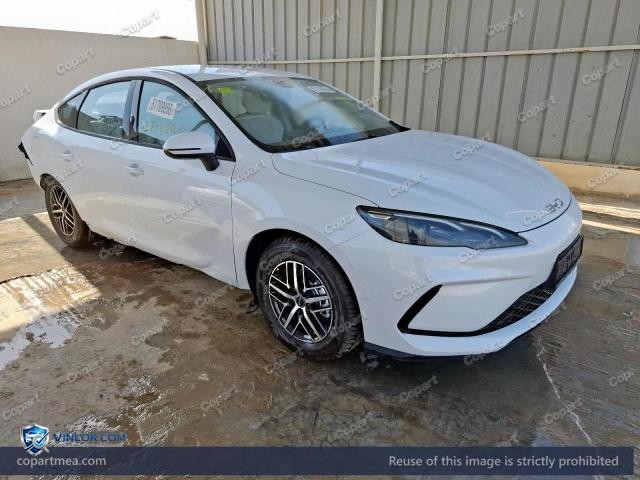 2025 BYD DM – Lot 51709956 auction photo
