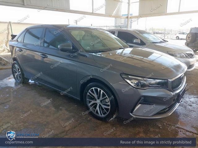2025 GEEL EMGRAND – Lot 51743166 auction photo