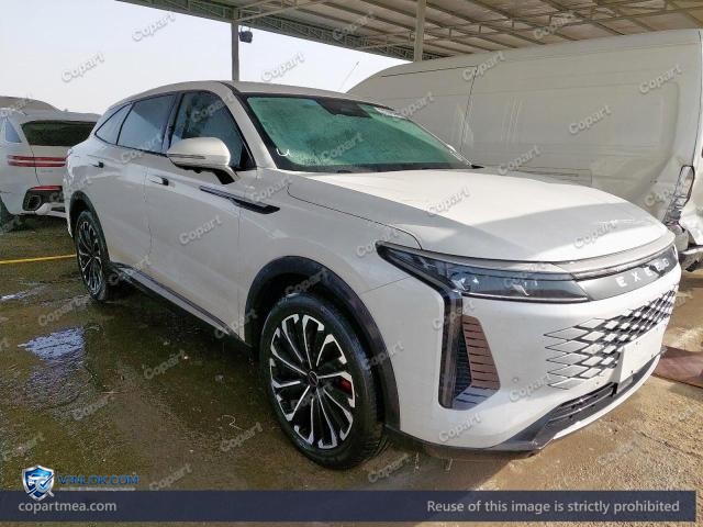 2024 EXEE RX – Lot 51745896 auction photo