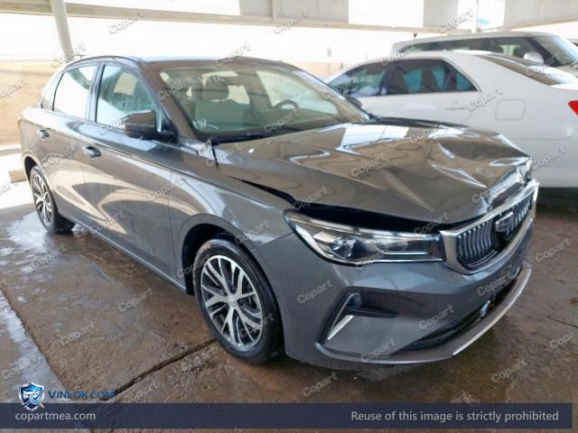 2025 GEEL EMGRAND – Lot 51761716 auction photo