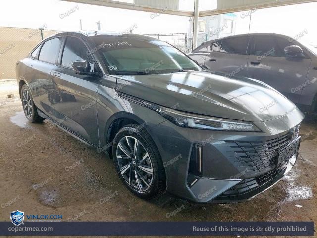 2025 CHAN EADO – Lot 51925496 auction photo