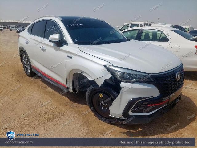 2022 CHAN CS85 – Lot 51925846 auction photo