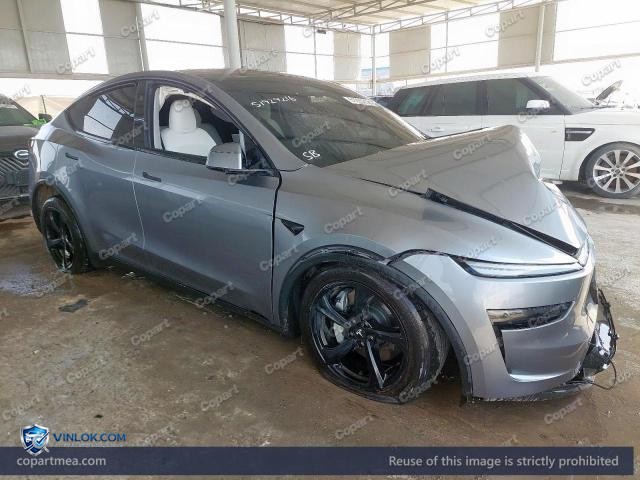 2025 TESLA MODEL Y – Lot 51929216 auction photo