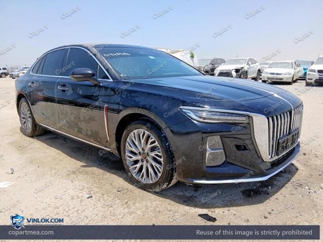 2025 HNGQ OUSADO – Lot 51948486 auction photo