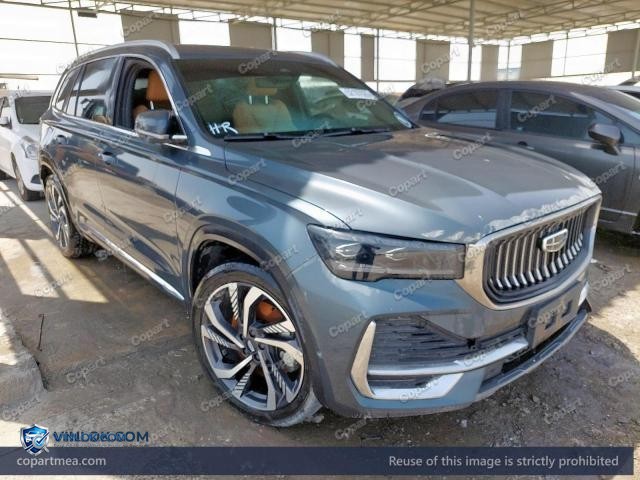2025 GEEL MONJARO – Lot 52107026 auction photo