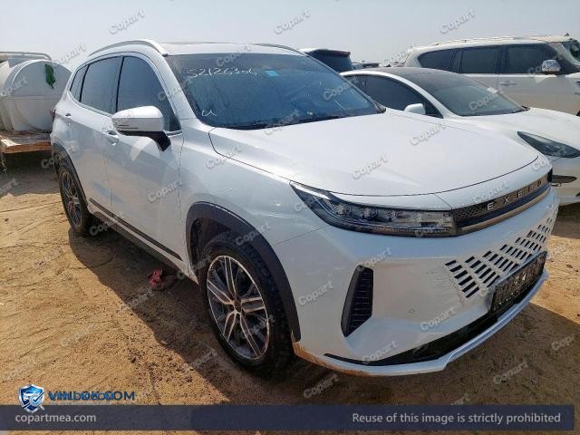 2026 EXEE LX – Lot 52126306 auction photo