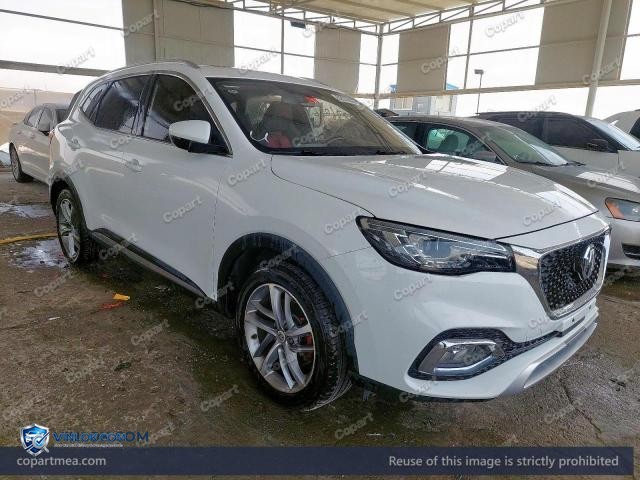 2020 MG HS – Lot 52276026 auction photo