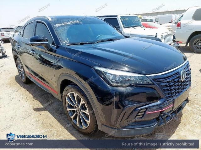 2023 CHAN CS85 – Lot 52620896 auction photo
