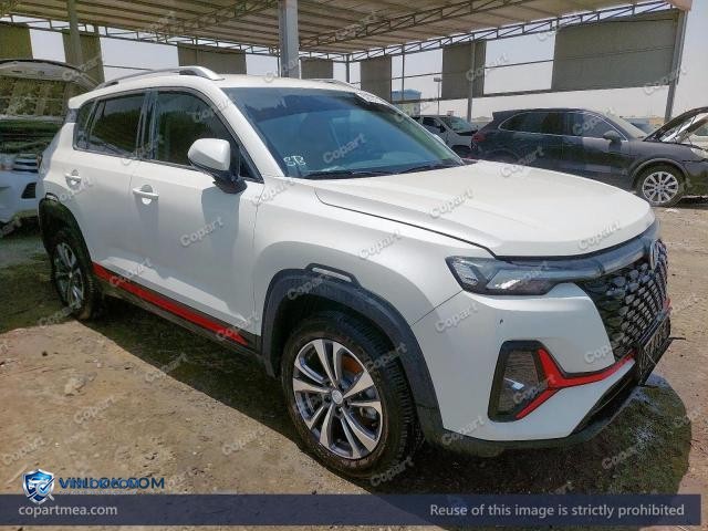 2025 CHAN CS35 PLUS – Lot 52623716 auction photo