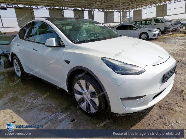 2024 TESLA MODEL Y – Lot 52628116 auction photo