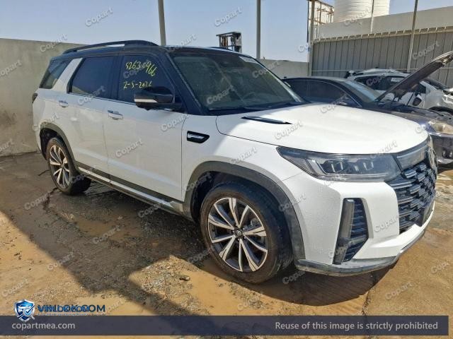 2024 CHAN CS35 – Lot 52630966 auction photo