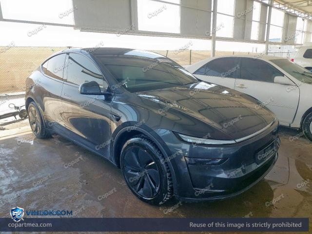 2025 TESLA MODEL Y – Lot 52786186 auction photo