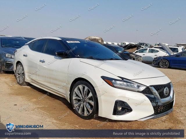 2023 NISSAN MAXIMA – Lot 52786616 auction photo