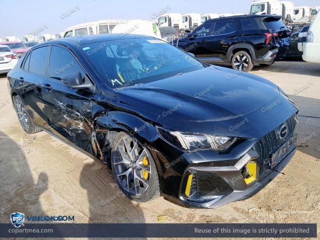 2025 GAC EMPOW – Lot 52786666 auction photo