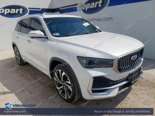 2024 GEEL MONJARO – Lot 52787346 auction photo