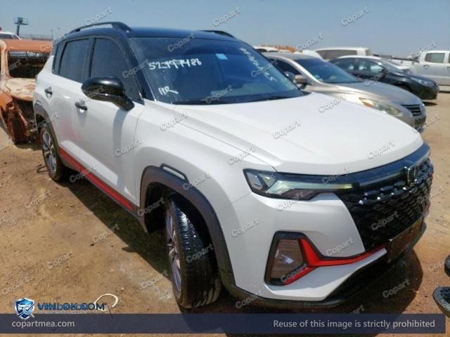 2024 CHAN CS35 – Lot 52797486 auction photo
