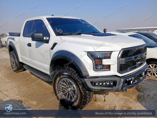 2019 FORD RAPTOR – Lot 53144046 auction photo